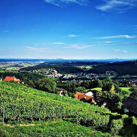 Wiednermichl - Urlaub In Den Weinbergen Krottendorf bei Ligist Экстерьер фото