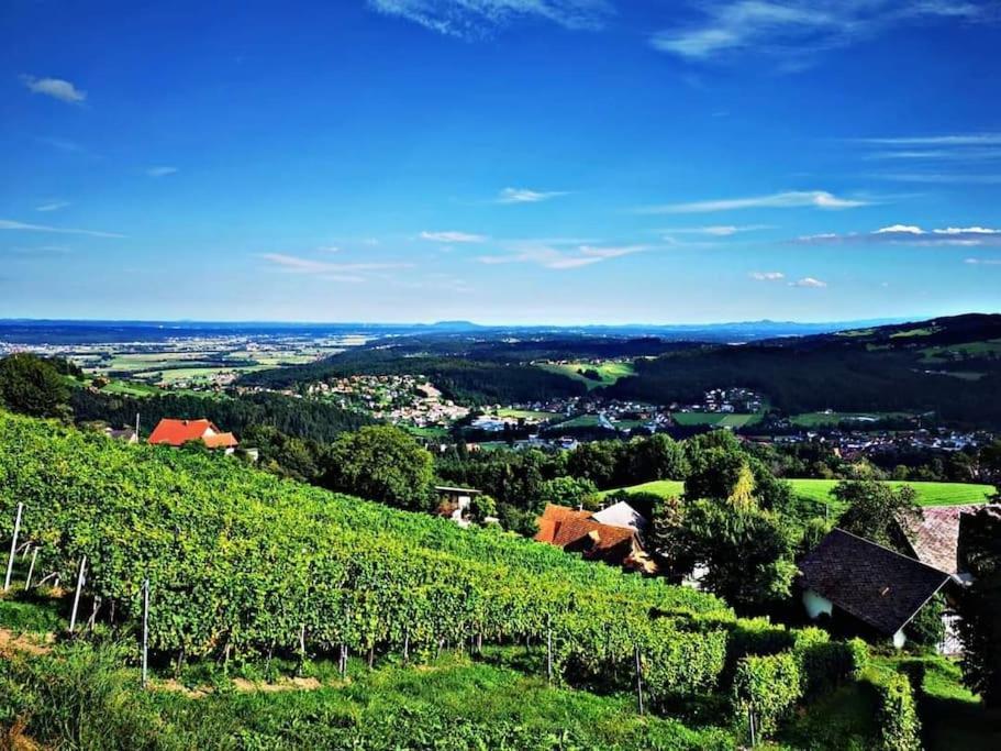 Wiednermichl - Urlaub In Den Weinbergen Krottendorf bei Ligist Экстерьер фото